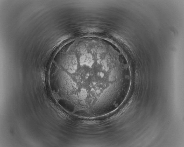 X0000113601305200909251148