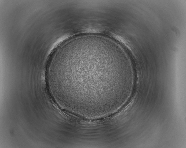 X0000113601307200909251148