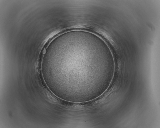 X0000113601308200909251148