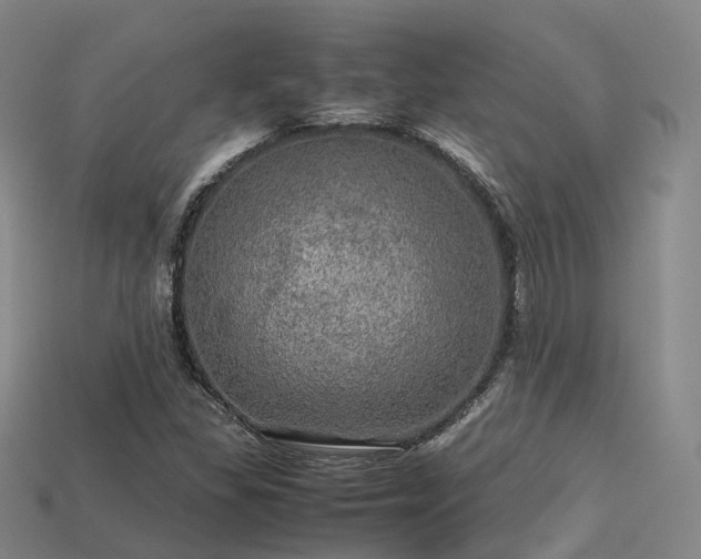 X0000113601309200909251148