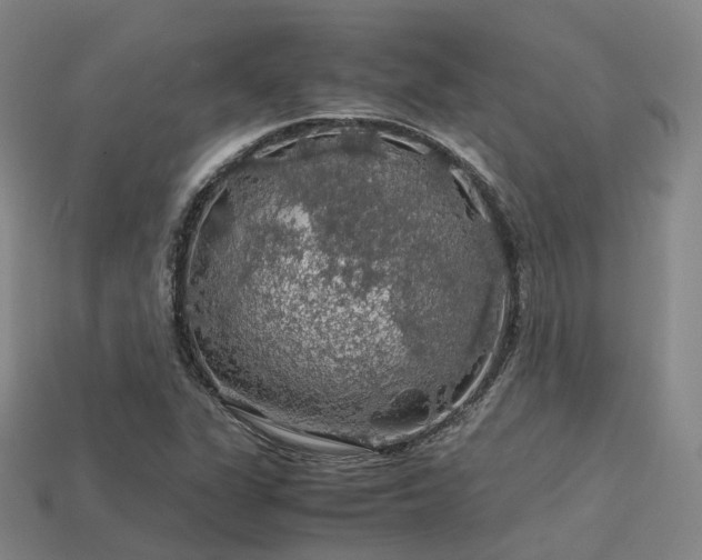 X0000113601311200909251148