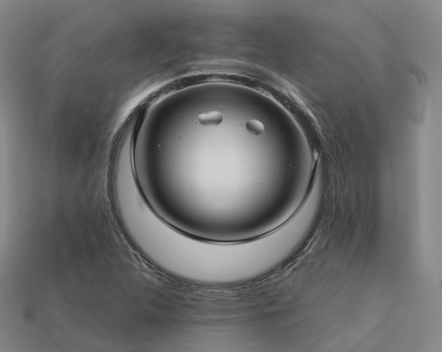 X0000113601312200909251148