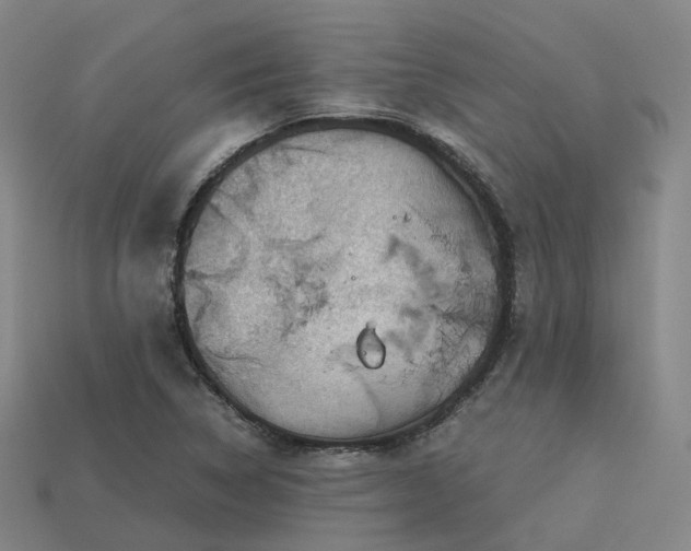 X0000113601314200909251148