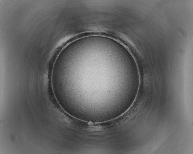 X0000113601315200909251148