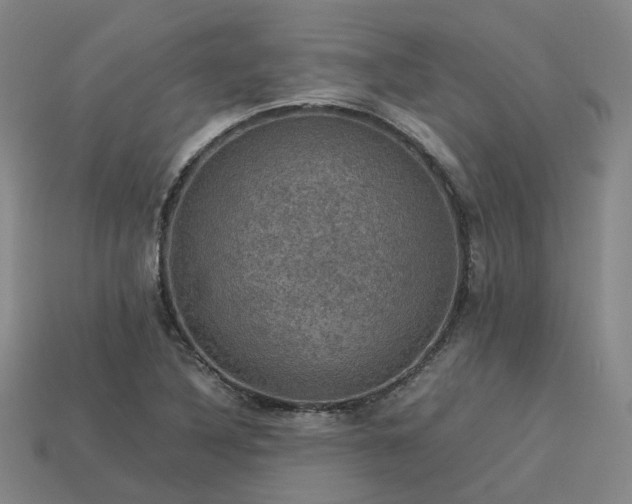 X0000113601316200909251148