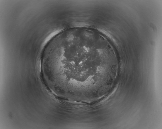 X0000113601317200909251148