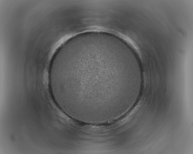 X0000113601318200909251148