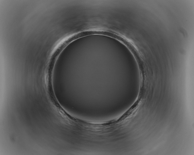 X0000113601319200909251148