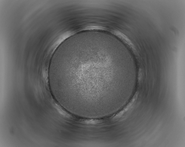 X0000113601321200909251148