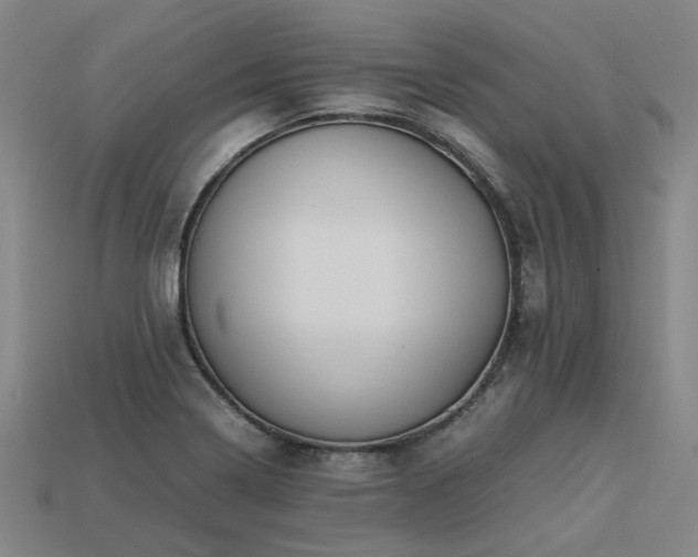 X0000113601322200909251148