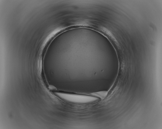 X0000113601323200909251148