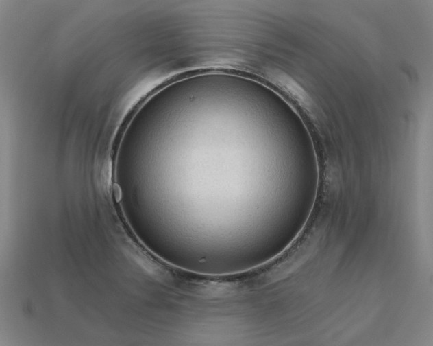 X0000113601324200909251148