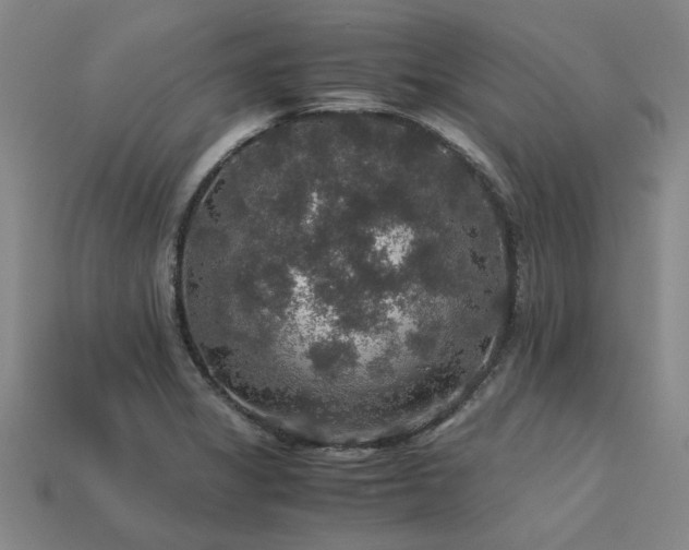 X0000113601325200909251148