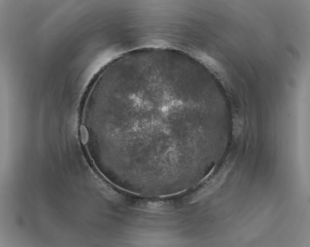 X0000113601326200909251148