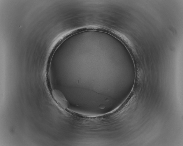 X0000113601327200909251148