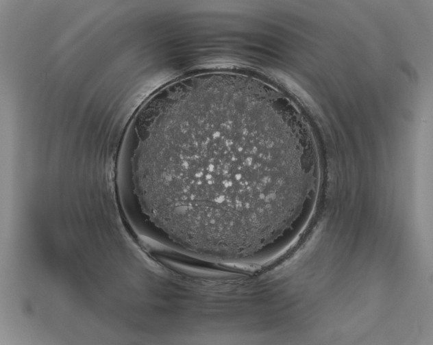 X0000113601329200909251148