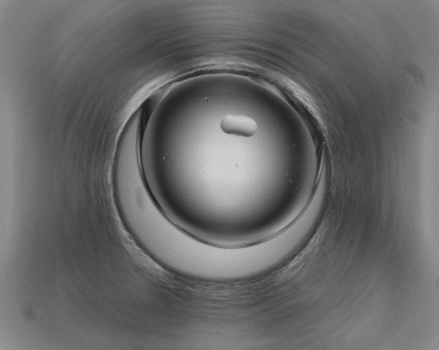 X0000113601330200909251148