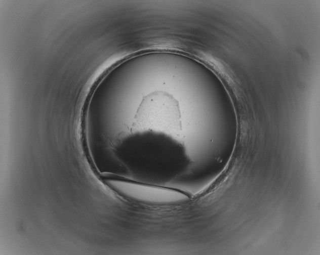 X0000113601331200909251148