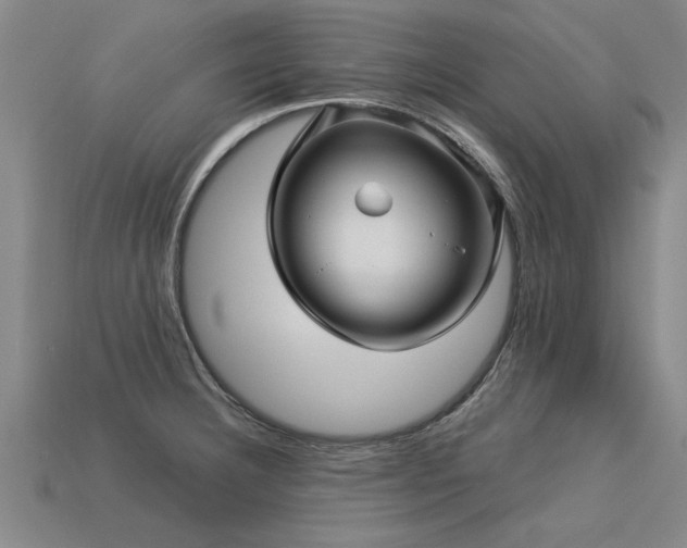 X0000113601332200909251148