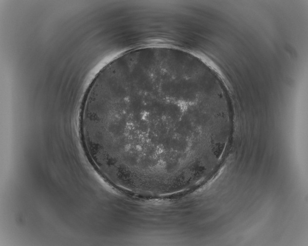 X0000113601333200909251148