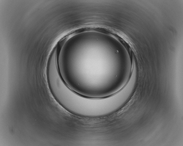 X0000113601334200909251148