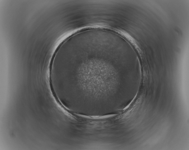 X0000113601335200909251148