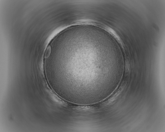 X0000113601336200909251148