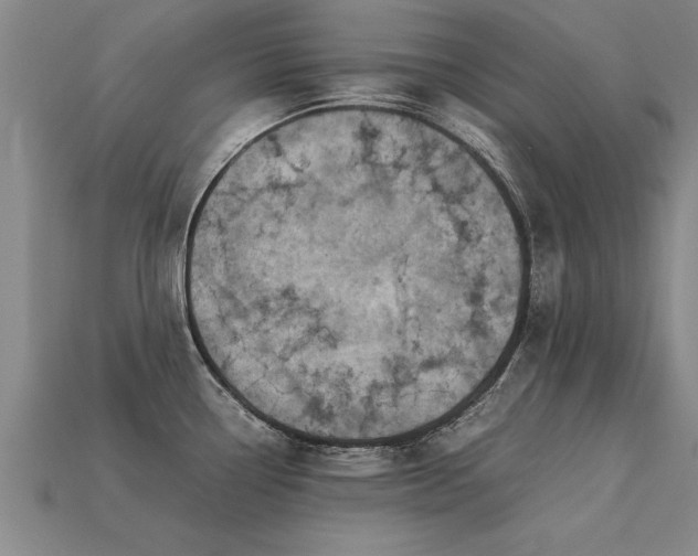 X0000113601338200909251148