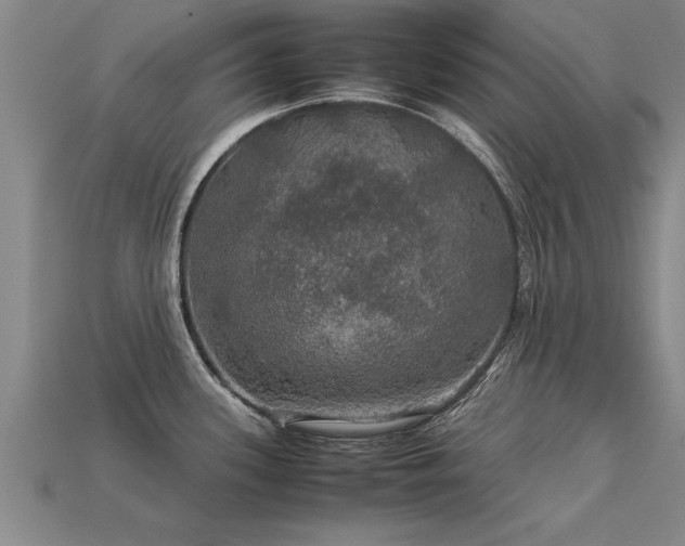 X0000113601339200909251148