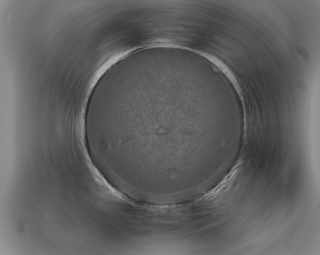 X0000113601341200909251148