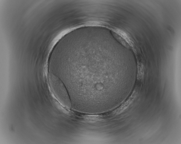 X0000113601342200909251148