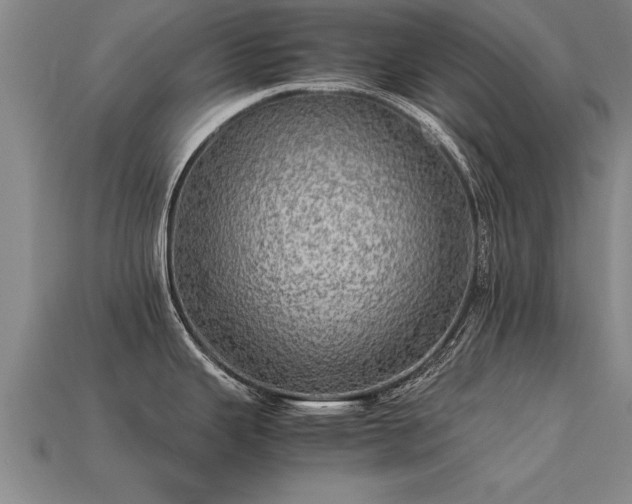 X0000113601343200909251148