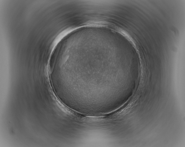 X0000113601344200909251148