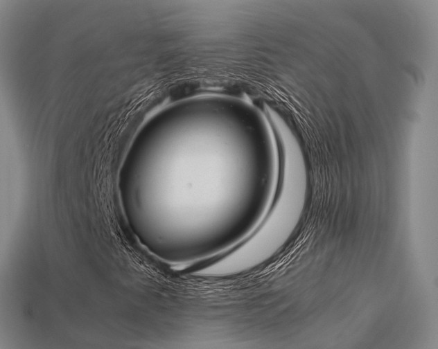 X0000113601345200909251148