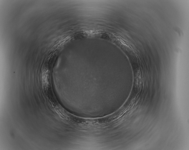 X0000113601346200909251148