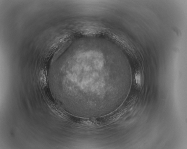 X0000113601348200909251148