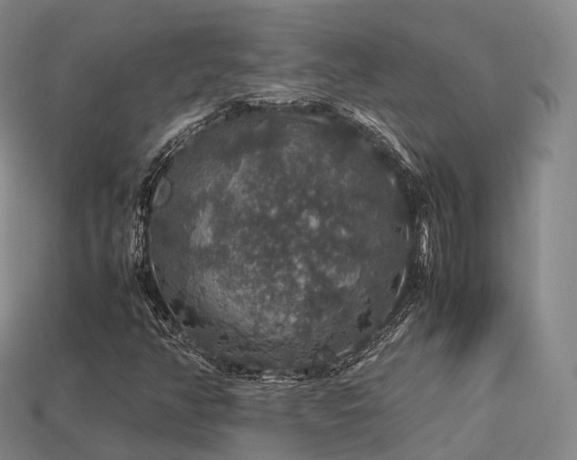 X0000113601350200909251148