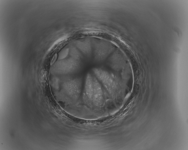 X0000113601351200909251148