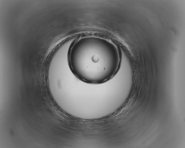 X0000113601352200909251148