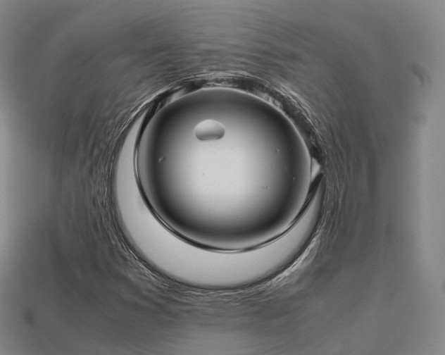 X0000113601353200909251148