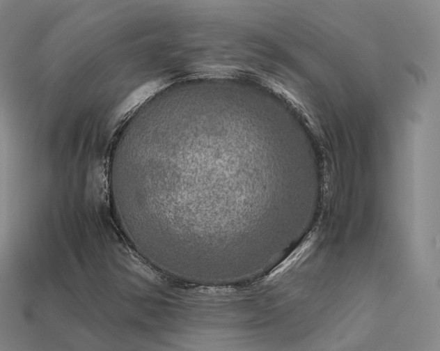 X0000113601354200909251148