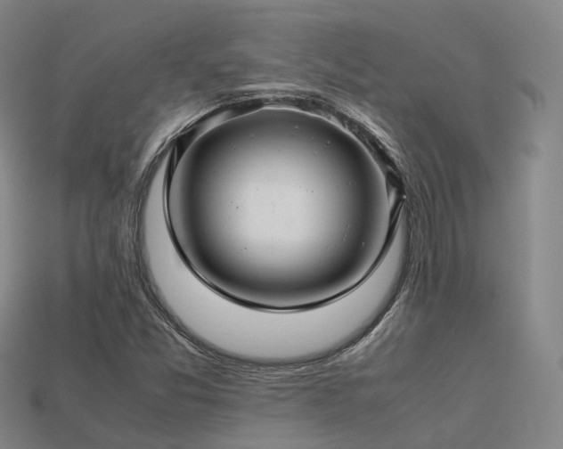 X0000113601357200909251147