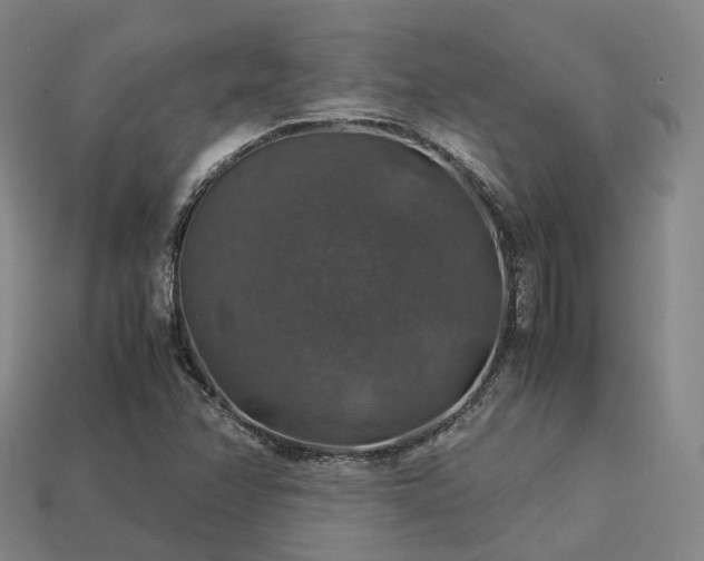 X0000113601358200909251147