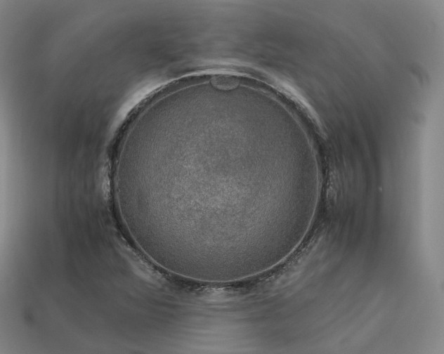 X0000113601360200909251147