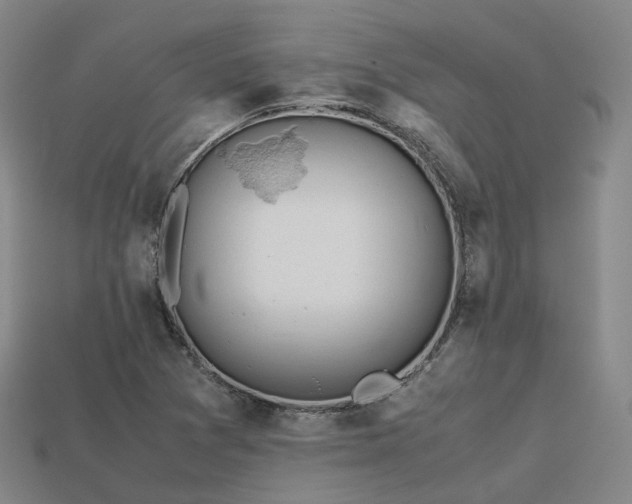 X0000113601361200909251147