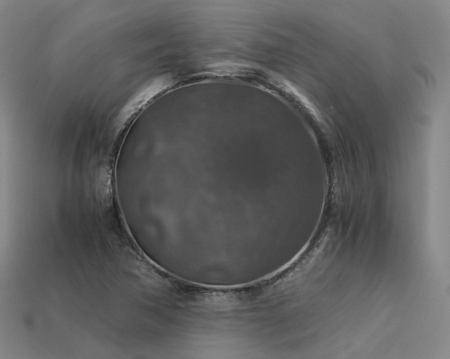 X0000113601362200909251147