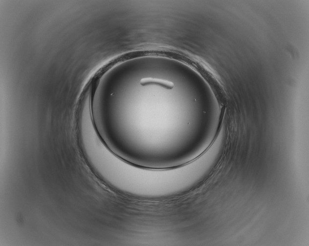 X0000113601364200909251147