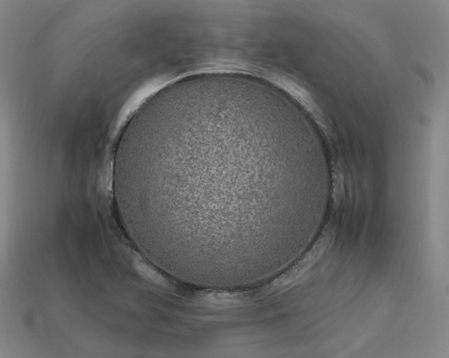 X0000113601366200909251147