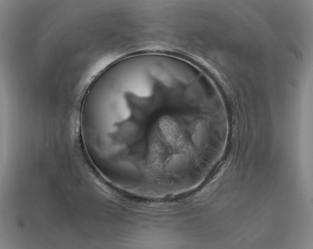 X0000113601367200909251147