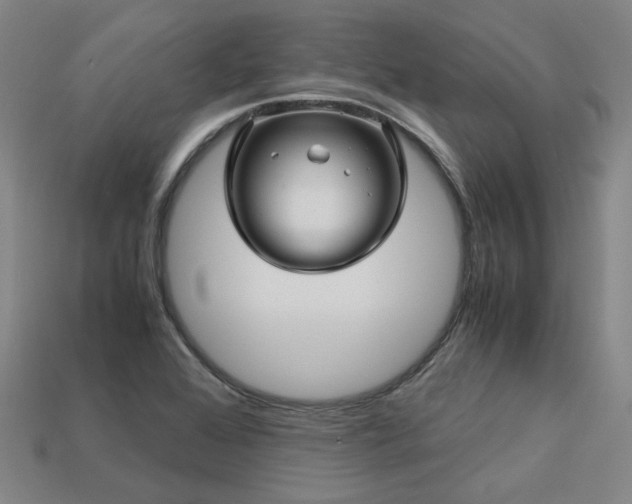 X0000113601368200909251147